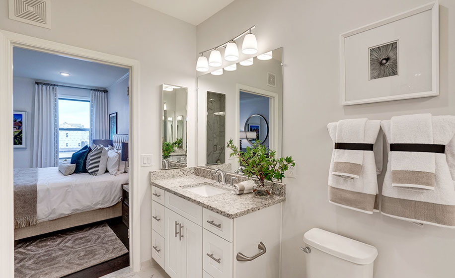 Birchwood at Brambleton Barton Master Bathroom